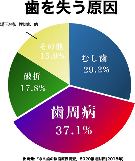 歯を失う原因